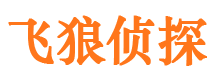 临港侦探公司